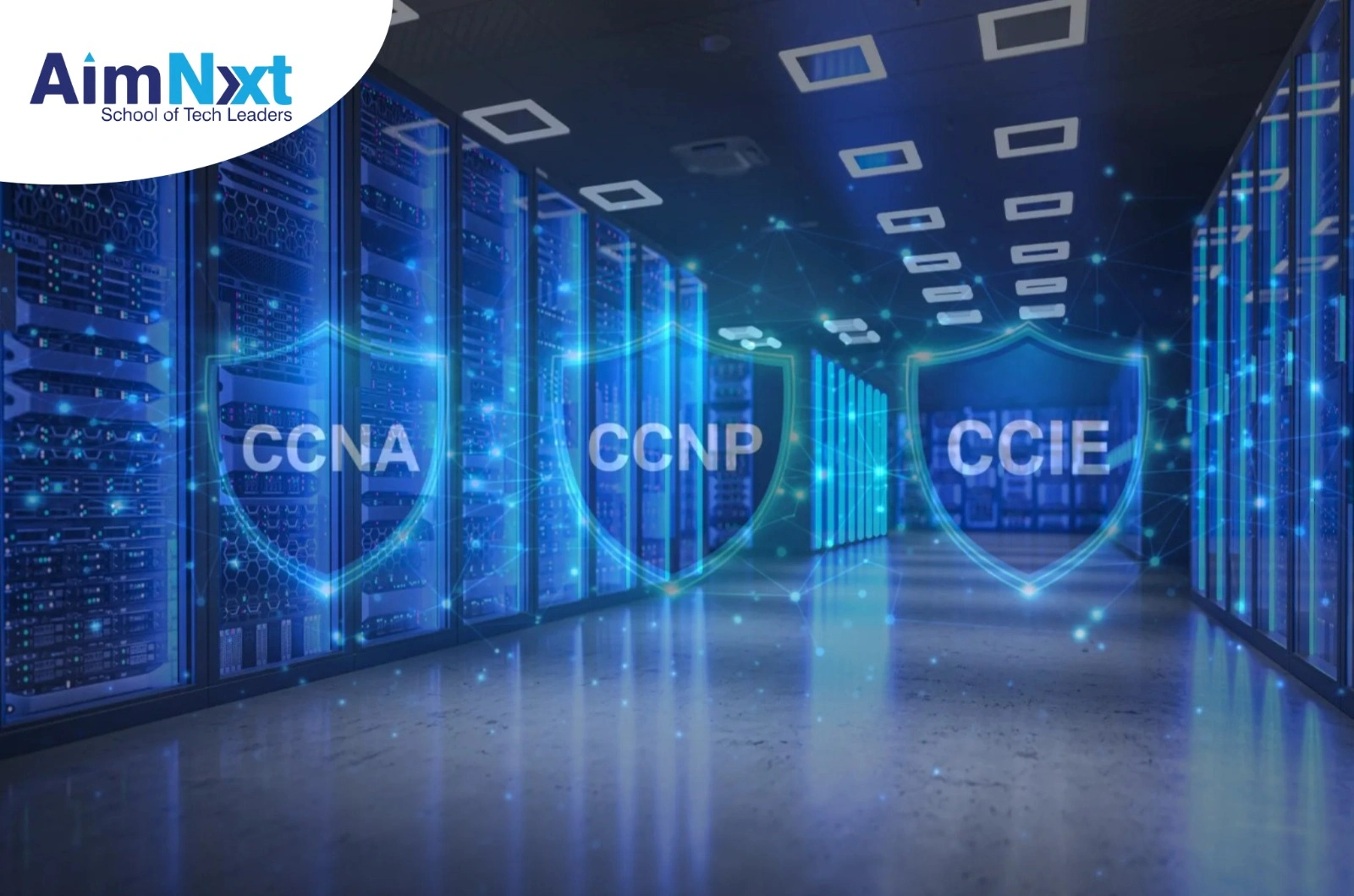 Introduction to Networking (CCNA, CCNP, CCIE)